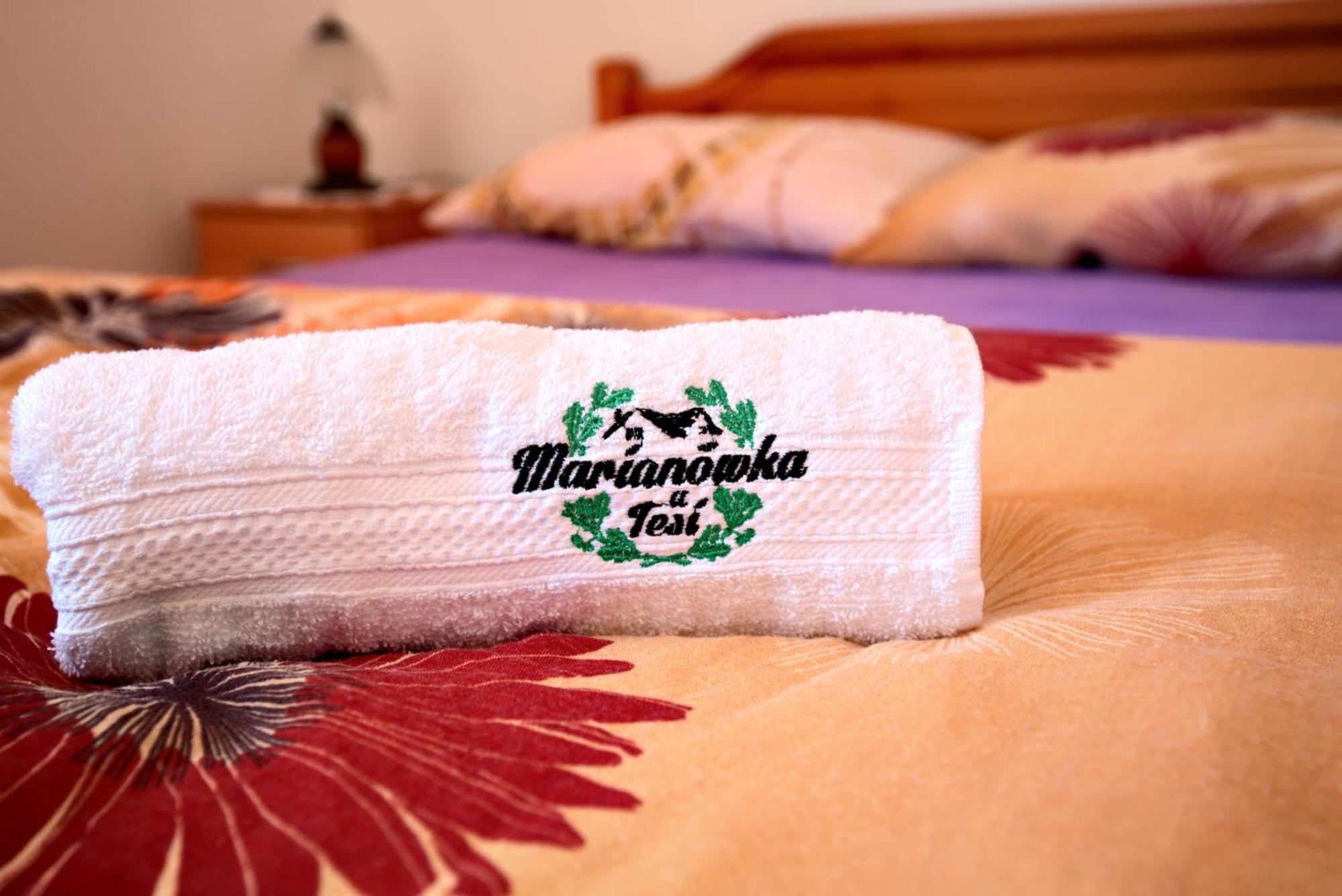 Farmstay Marianowka U Tesi Giby Chambre photo